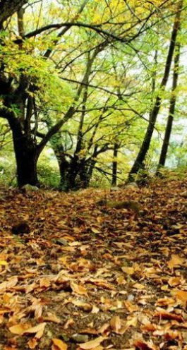 main_image_65509 1