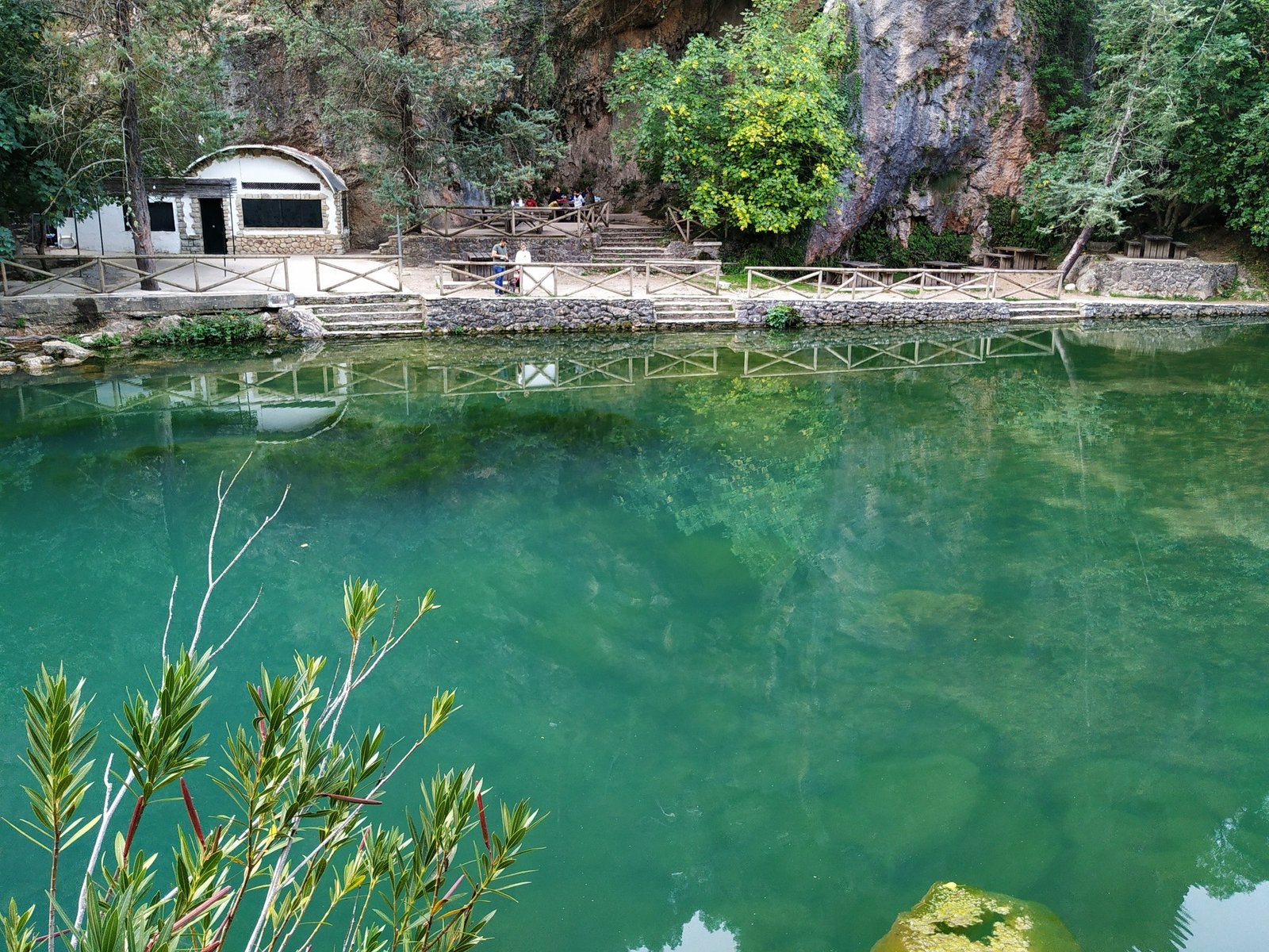 El charco del aceite (jaén)