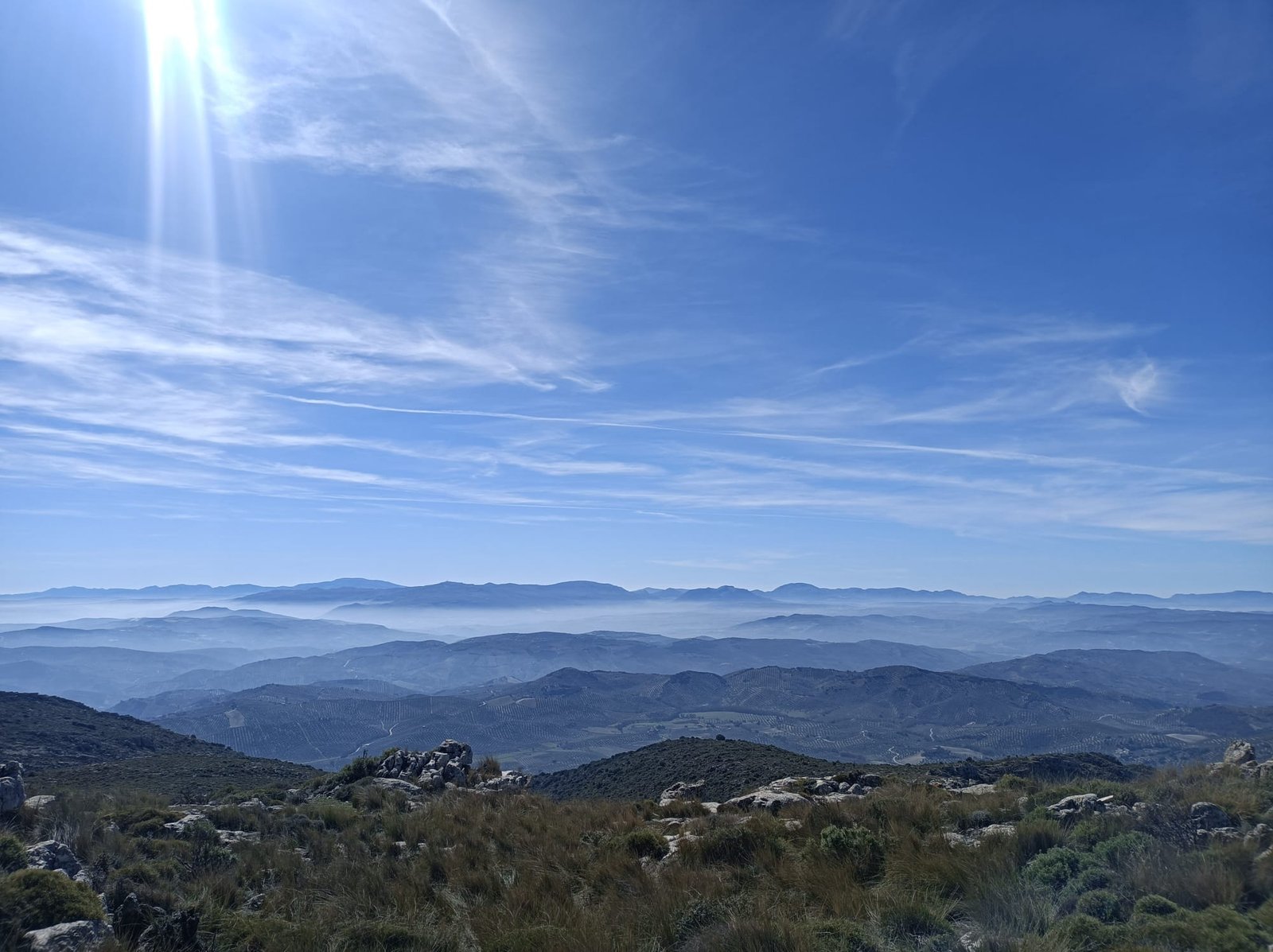 La tiÑosa (cÓrdoba)