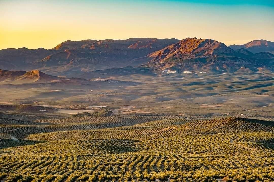 MÁgina (jaÉn)