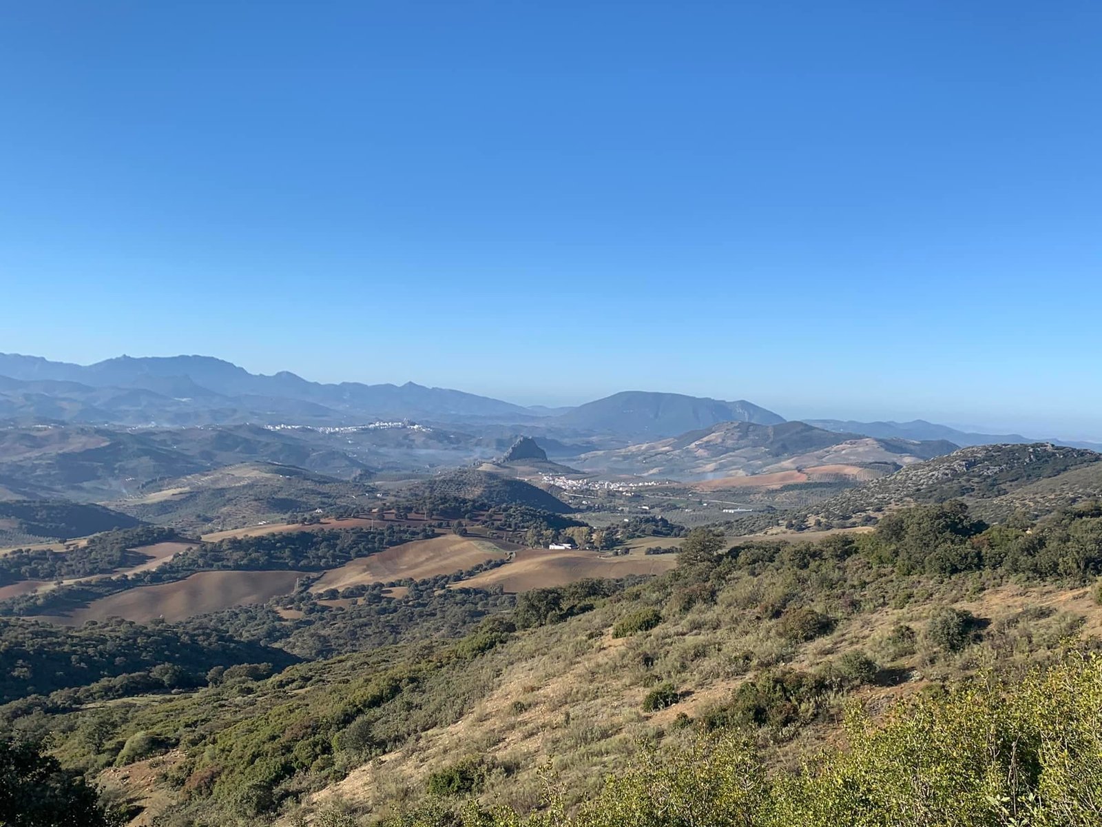 Pico el terril
