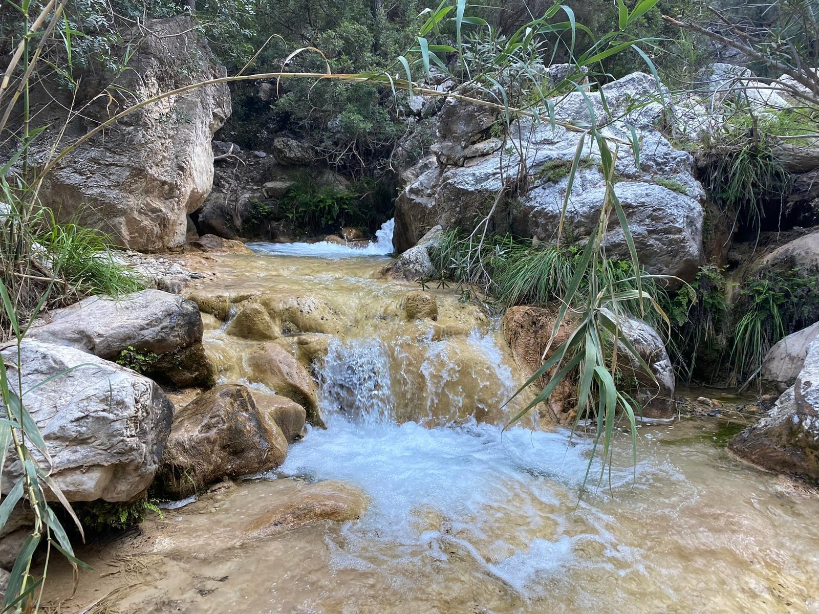 Río chillar