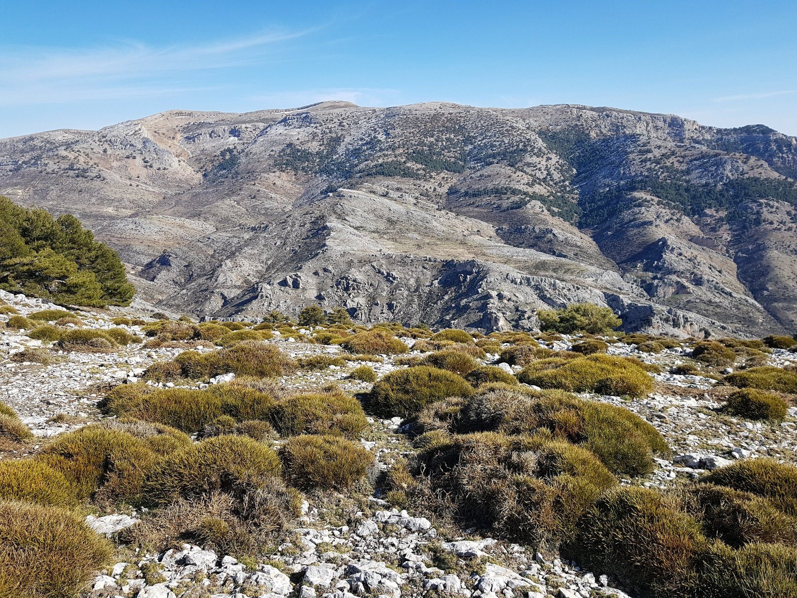 Sierra de castril (granada)