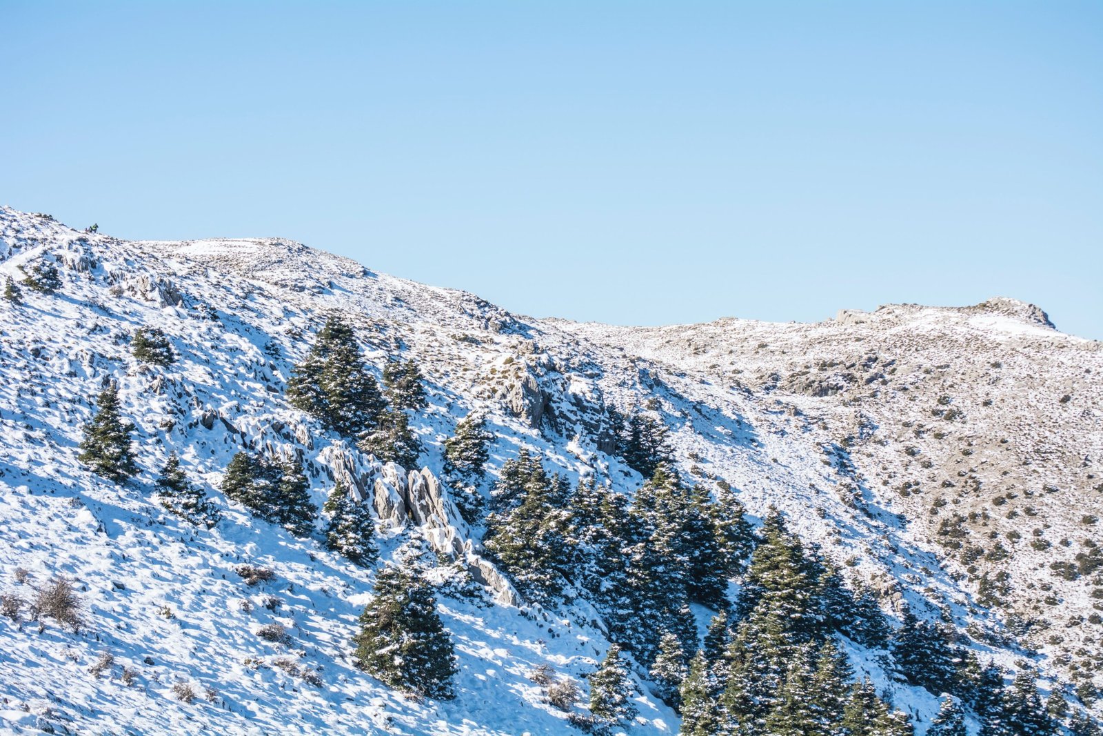 Sierra de las nieves (málaga)