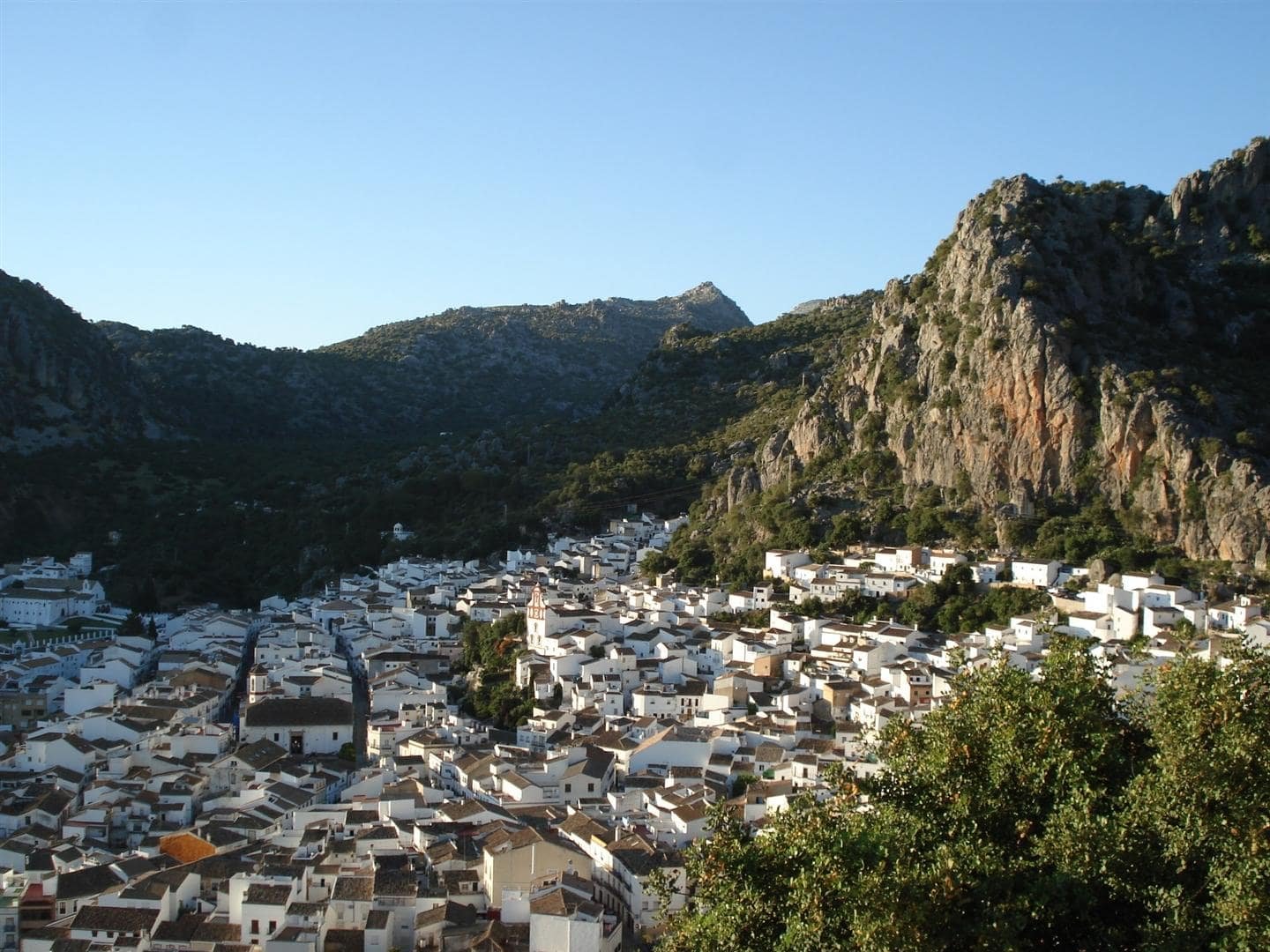 Umbrique