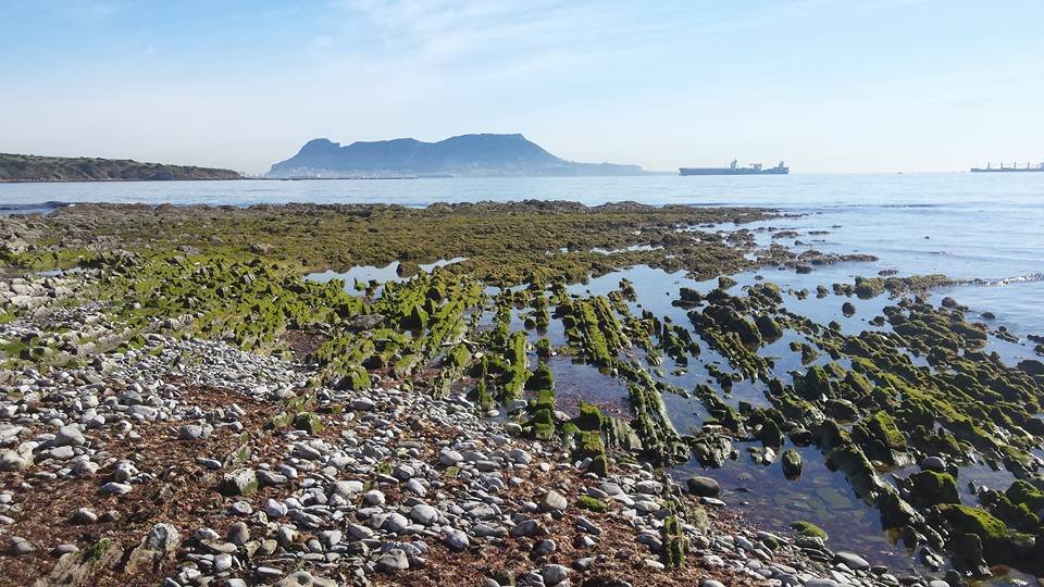 Río Pícaro