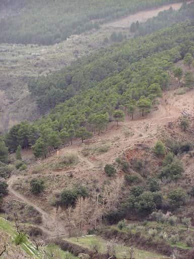 Ruta Del Encinar De Abrucena