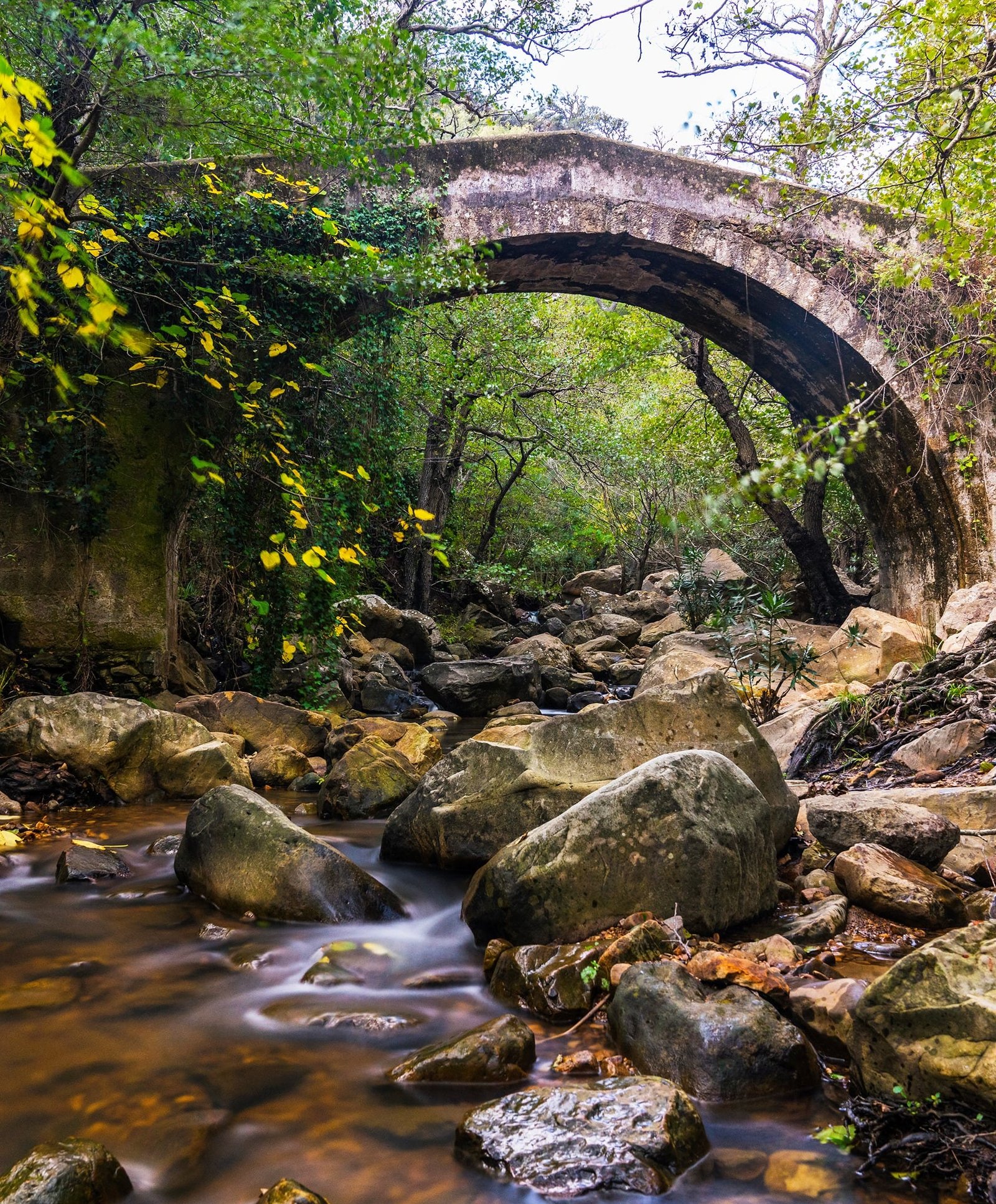 Sendero Río De La Miel